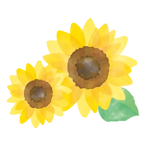 急なご退去